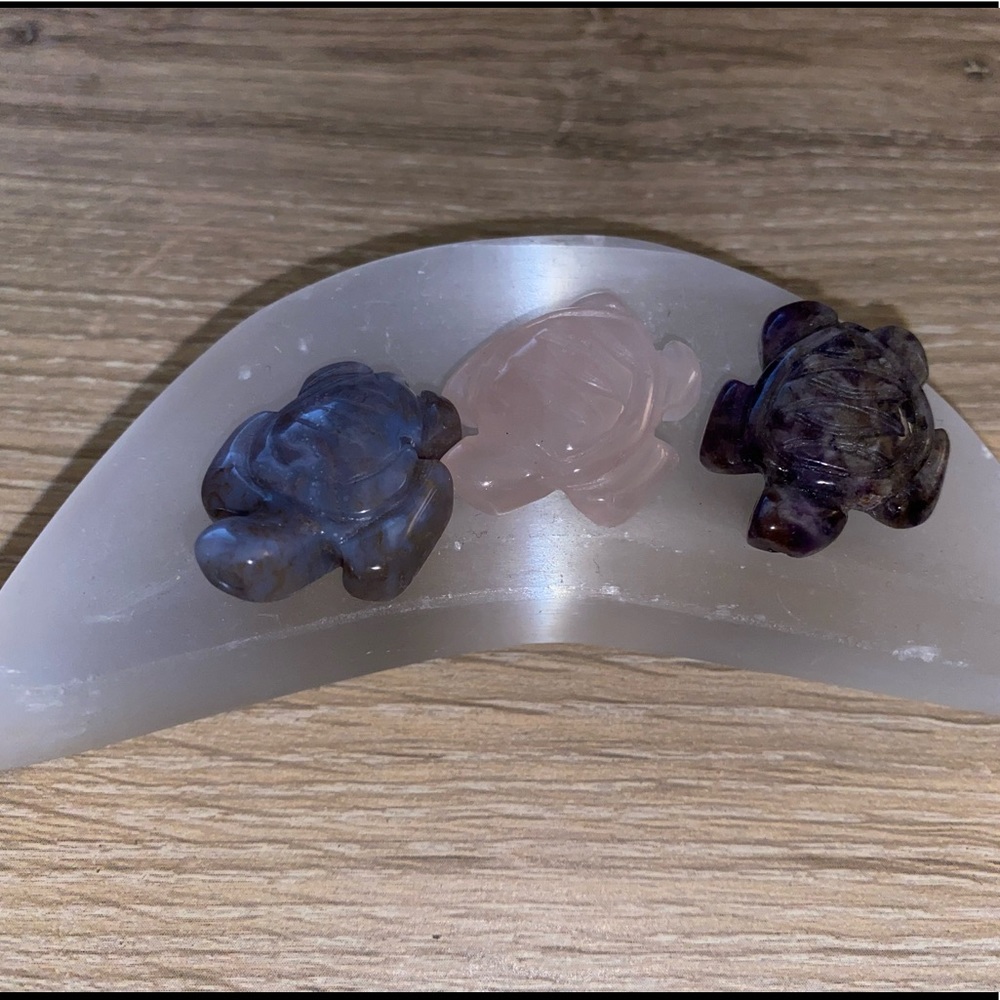 Mini turtles 🐢🐢 crystals